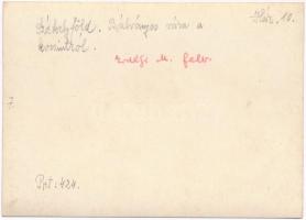 cca 1915-1920 Bálványos vára a kocsiútról, Erdély, Erdélyi Mór felvétele, hátoldalon feliratozva, 12...