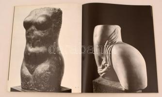 László Gyula: Borsos Miklós. Bp., 1979, Corvina. Kiadói modern keménykötésben