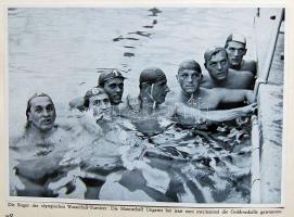 OLYMPIA 1936 cigarettakártya-album sok képpen / Cigarette-card album with a lot of pictures