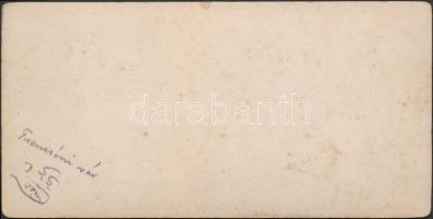 cca 1910 Trencséni vár. Keményhátú kabinetfotó, hátoldalán feliratozva, 8×16.5 cm