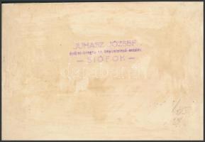 cca 1930 A Szigliget motoros hajó a siófoki mólónál. Feliratozott, hátoldalán végig ragasztónyom, 9....