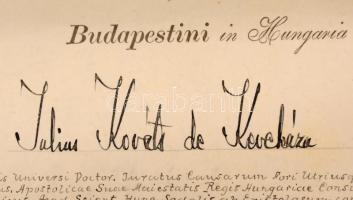 1913 Hajós Károly (1891-1976) belgyógyász allergológus, nemzetközi tüdő-asztma kutató, orvos doktori...