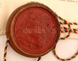 1913 Hajós Károly (1891-1976) belgyógyász allergológus, nemzetközi tüdő-asztma kutató, orvos doktori...