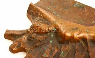 Veszprémi Imre (1932-2013): Női figura. Bronz falikép, jelzett, 33×21 cm