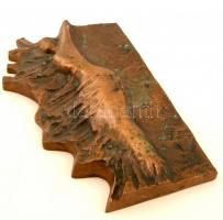 Veszprémi Imre (1932-2013): Női figura. Bronz falikép, jelzett, 33×21 cm