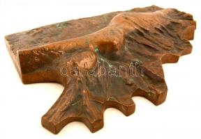 Veszprémi Imre (1932-2013): Női figura. Bronz falikép, jelzett, 33×21 cm