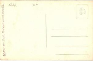 Budapest I. Szentháromság tér és szobor, volt Pénzügyminisztérium épülete, katonai felvonulás, Schaf...