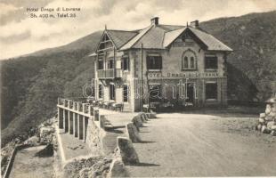 Lovran, Lovrana; Hotel Draga di Lovrana, Villa Irma / hotel, villa