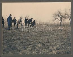 cca 1940 Csali nyuszik a kocavadászoknak, vintage fotó, 17x23 cm, karton 19x24,5 cm