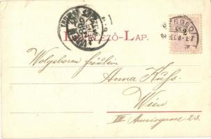 1898 Szeged, Klauzál tér, Európa szálló, közúti híd, kiadja Endrenyi Imre (kis szakadás / small tear...