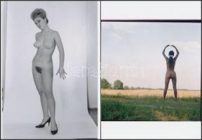 cca 1980 Finoman erotikus képek tétele, 13 db korabeli felvételről készült mai nagyítás, 13x18 cm / ...