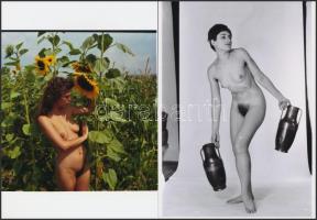 cca 1980 Finoman erotikus képek tétele, 13 db korabeli felvételről készült mai nagyítás, 13x18 cm / ...