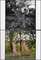 cca 1980 Finoman erotikus képek tétele, 13 db korabeli felvételről készült mai nagyítás, 13x18 cm / ...