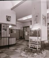 1973 Budapest, a FÉNY mozi külső-belső felvételei, 6 db szabadon felhasználható negatív, 6x7 cm