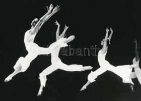 cca 1979 Szárnyaló hattyúk a színpadon, vintage fotó, 17x23,5 cm