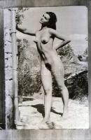 cca 1968 Akt fotók repró negatívja, 34 db 24x36 mm-es jó minőségű negatív, tároló tasakban