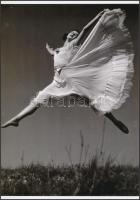 cca 1935 Az első tavaszi pillangó, vintage felvételről készült mai nagyítás, 25x18 cm