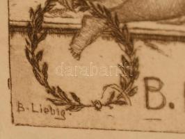 Bernhard Liebig (1873-1937): Ex libris Lehmann. Rézkarc, papír, jelzett a karcon,  9×5,5 cm