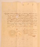 1772 Heves és Külső-Szolnok vármegye igazolása a Vízy-család nemességéről, száraz pecséttel, moly rá...
