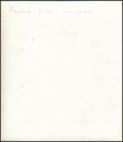 Vidám színpad, fotó, 19x17 cm