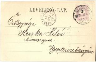 1899 Kolozsvár, Cluj; Vashíd melletti paloták, kiadja Kováts P. Fiai / palaces