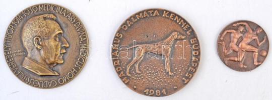 Vegyes fémpénz, díjérem, bárca és plakett tétel ~0,9kg súlyban, közte Edvi Illés György (1911-) 1939...