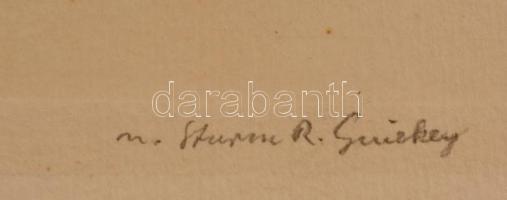 M. Sturm R. Guiskey  jelzéssel: Madár. Színezett rézmetszet. Jelzett. Nyomat mérete: 17x23 cm