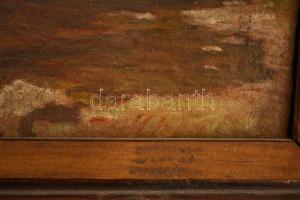 Molnár istván (?-?): Csorba-tó vázlat. Olaj, karton, sérült, keretben, 38×29 cm