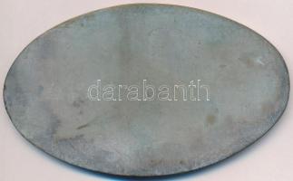 ~1970-1980. "Bereczki Máté Kertészeti Emlékplakett" Br plakett, zománcozott betéttel (64x1...