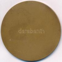 1967. "Csepel Vas és Fémművek 1892-1967" Br plakett, eredeti tokban + ~1970. "Csepel ...