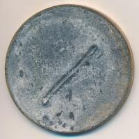 1875. "Újvidéki Ipar Kiállítás Augustus hó 15-én - 1875" Br jelvény (44mm) T:2 tűhiány, ox...