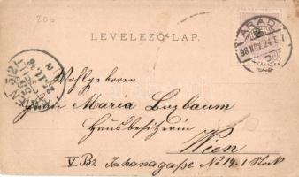 1898 Arad, Arad-csanádi egy. vasutak palotája, líceum, minorita templom, vár főkapu, Maros part, kia...