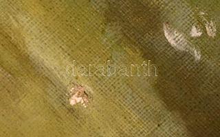 Neogrády Antal (1861-1942): Ivó lány. Olaj, vászon (sérült), jelzett, sérült keretben, 60×80 cm