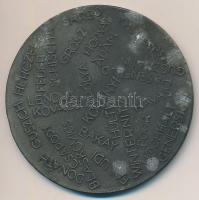 1960. "75 éves az István Kórház - 1885-1960" kétoldalas Zn plakett (60,5mm) T:2 oxidáció