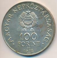 1972. 100Ft Ag "Budapest" plasztiktokban T:BU patina