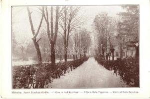 Miskolc, Fasor Tapolcafürdőn, Hámori Puskaporos barlang - 2 db régi képeslap / 2 old postcards