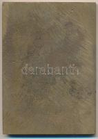 1981. "Építők Szalmás Kórusa 1881-1981" Br plakett, eredeti sérült dobozban (57x80mm) T:2