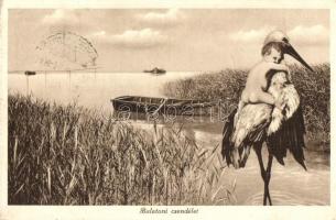 Balaton, Csendélet, gólya kisgyermekkel