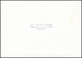 Vattay Elemér (1931-2012): Dénes Miklós (?-?) fafaragó munkái, 6 db fotó, hátuljukon pecséttel jelze...