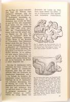 Doig, Federico Kaufmann: Sexualverhalten im alten Peru. Lima, 1979, Kompaktos. Papírkötésben, jó áll...