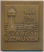 1968. "Fővárosi Vízművek 1868-1968" Br emlékplakett (50x58mm) T:2