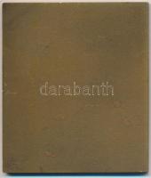 1968. "Fővárosi Vízművek 1868-1968" Br emlékplakett (50x58mm) T:2