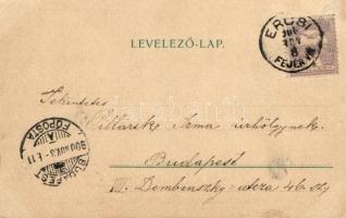 Humoros művészlap, T.K.L.K. 104. D99 10., Hornyánszky V. / humorous art postcard