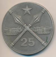 Csehszlovákia 1976. "25 éves az Antonín Zápotocky Katonai Akadémia Brno" fém emlékérem (60...