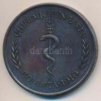 Bakos Ildikó (1948- ) ~1990. "Aesculapius / Chinoin Hungaria - Condita 1910" Br emlékérem,...