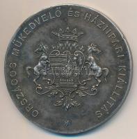 1907. "Országos Műkedvelő és Háziipari Kiállítás / Temesvár 1907" ezüstözött Br emlékérem ...