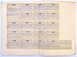 Szekszárd 1919. "Szekszárd és Környéke Hangya Fogyasztási és Értékesítő Szövetkezet" részv...