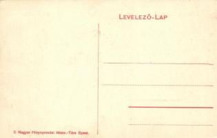 Budapest XV. Rákosmező; Kutassy repülőgépe