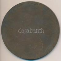 ~1970. "Társadalmi munkáért" Br emlékplakett (80mm) T:2