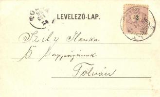1899 Dunaföldvár, Duna utca, templom, üzlet, kiadja Schwarz Manó (EK)